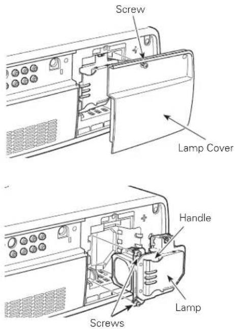 Screw Lamp Cover Handle Screws Lamp