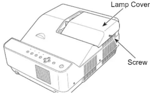 Lamp Cover Screw