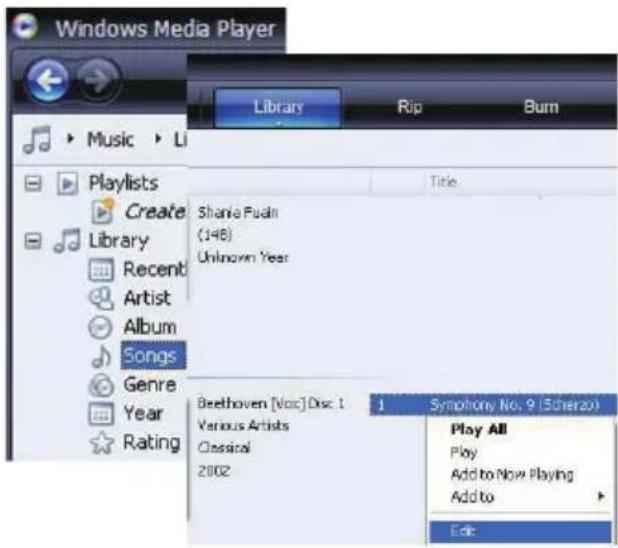 Windows Media Player Library Rip Burn Music Li Playlists Create Library Recent Artist Album Songs Genre Year Rating Sharia Puan (148) Unknown Year Beethoven [Voc] Disc. 1 Various Artists Classical 2002 Title 1 Symphony No. 9 (Scherzo) Play All Play Add to Now Playing Add to Edit