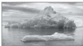 Black-and-white photo of a large icebergs floating on calm water, no visible text or symbols