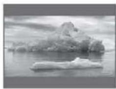 Black-and-white photo of a large, rocky outcrop floating on calm water (no text or symbols visible)