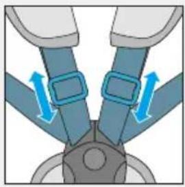 Illustration of a car seatbelt with blue belt and directional arrows indicating movement (no text or symbols)