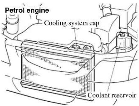 Petrol engine Cooling system cap Coolant reservoir