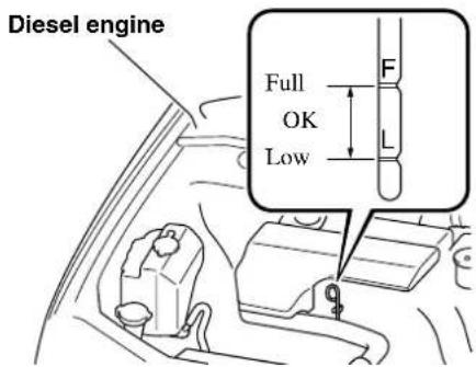 Diesel engine Full OK Low