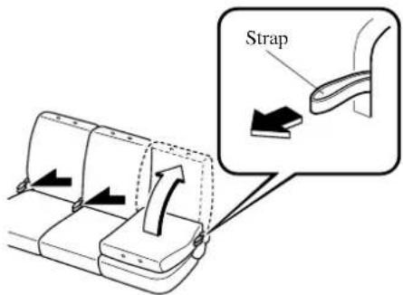 Strap