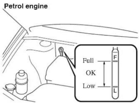 Petrol engine Full OK Low