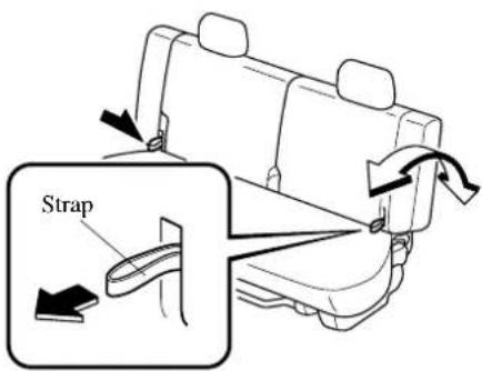 Strap