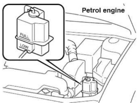 Petrol engine FULL LOW