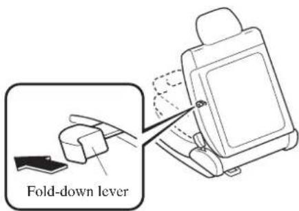 Fold-down lever