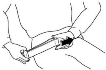 MAZDA Premacy (2002) - ▼Fastening the Seat Belts - 3