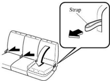 Strap