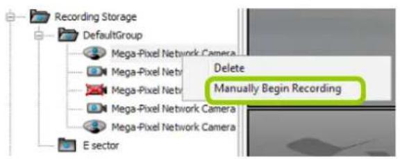 Recording Storage DefaultGroup Mega-Pixel Network Camera Mega-Pixel Netb Mega-Pixel Netb Mega-Pixel Network Camera Mega-Pixel Network Camera E sector Delete Manually Begin Recording
