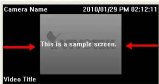 Camera Name 2010/01/29 PM 02:12:11 This is a sample screen. Video Title