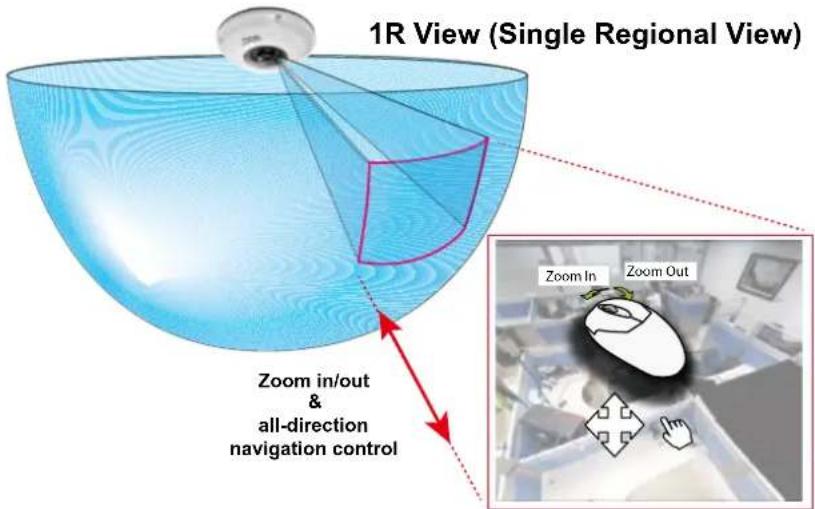 1R View (Single Regional View) Zoom in/out & all-direction navigation control Zoom In Zoom Out