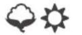 Caple WDi2206 - Buttons indicator light - 21