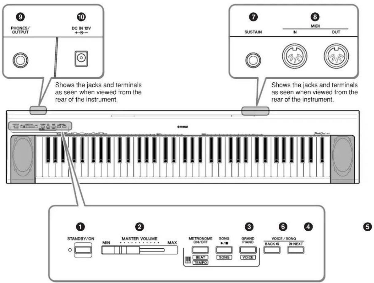 9 PHONES/ OUTPUT 10 DC IN 12V +→- 7 SUSTAIN MIDI IN OUT 8 Shows the jacks and terminals as seen when viewed from the rear of the instrument. 7 Shows the jacks and terminals as seen when viewed from the rear of the instrument. 1 STANDBY/ON MIN MASTER VOLUME MAX METRONOME ON/OFF SONG GRAND PIANO BEAT TEMPOR SONG VOICE VOICE / SONG BACK << >> NEXT 5