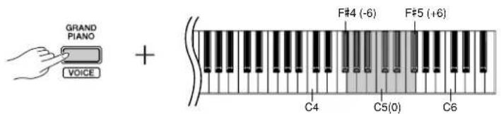GRAND PIANO VOICE + F#4 (-6) F#5 (+6) C4 C5(0) C6