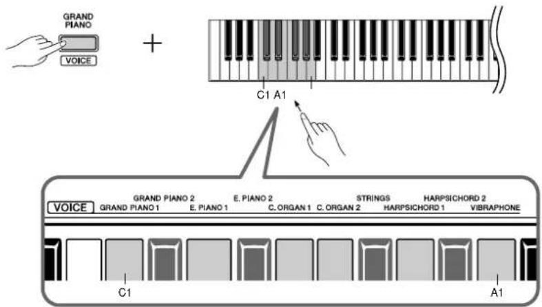 GRAND PIANO VOICE + C1 A1 VOICE GRAND PIANO 2 E. PIANO 2 C. ORGAN 1 C. ORGAN 2 STRINGS HARPSICHORD 2 VIBRAPHONE C1 A1
