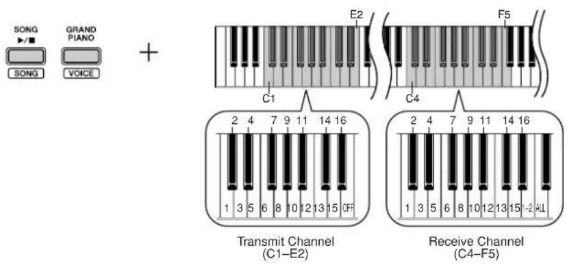SONG GRAND PIANO SONG VOICE + C1 E2 F5 C4 2 4 7 9 11 14 16 1 3 5 6 8 10 12 13 15 CFF Transmit Channel (C1-E2) 2 4 7 9 11 14 16 1 3 5 6 8 10 12 13 15 ALL Receive Channel (C4-F5)