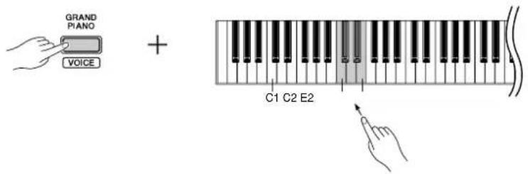 GRAND PIANO VOICE + C1 C2 E2