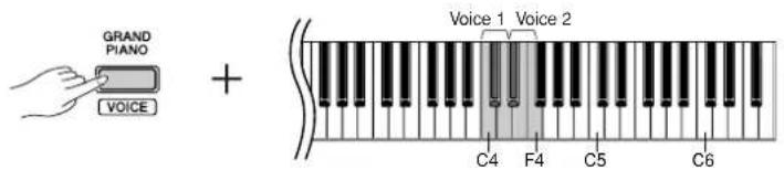 GRAND PIANO VOICE + Voice 1 Voice 2 C4 F4 C5 C6
