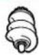 PHILIPS HR7765 - SR | Okolina - 17