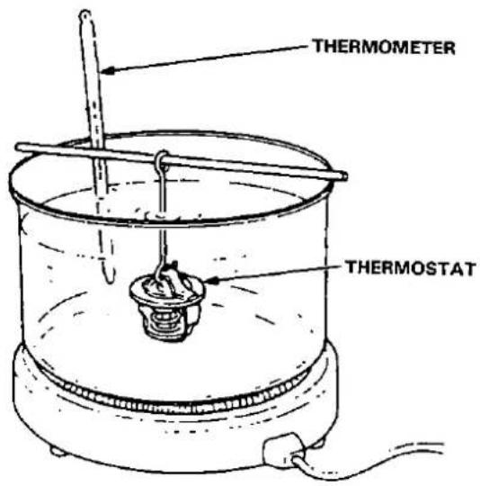 THERMOMETER THERMOSTAT