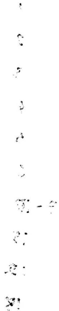 Scanned text of contract clauses with handwritten annotations and footnotes