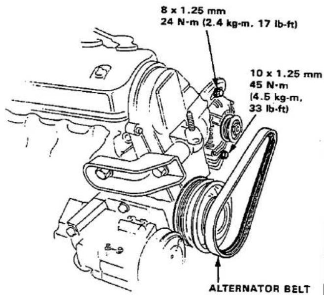 8 x 1.25 mm 24 N·m (2.4 kg·m, 17 lb·ft) 10 x 1.25 mm 45 N·m (4.5 kg·m, 33 lb·ft) ALTERNATOR BELT