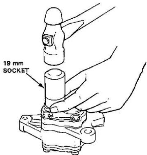 19 mm SOCKET