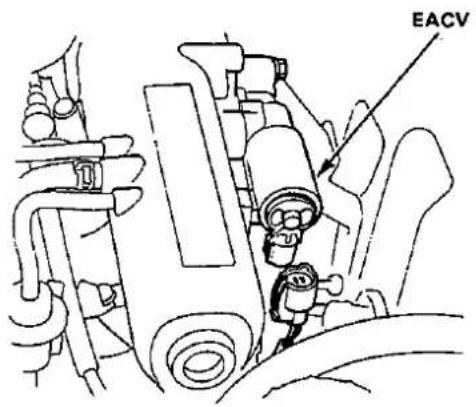 EACV