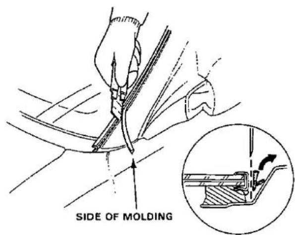 SIDE OF MOLDING