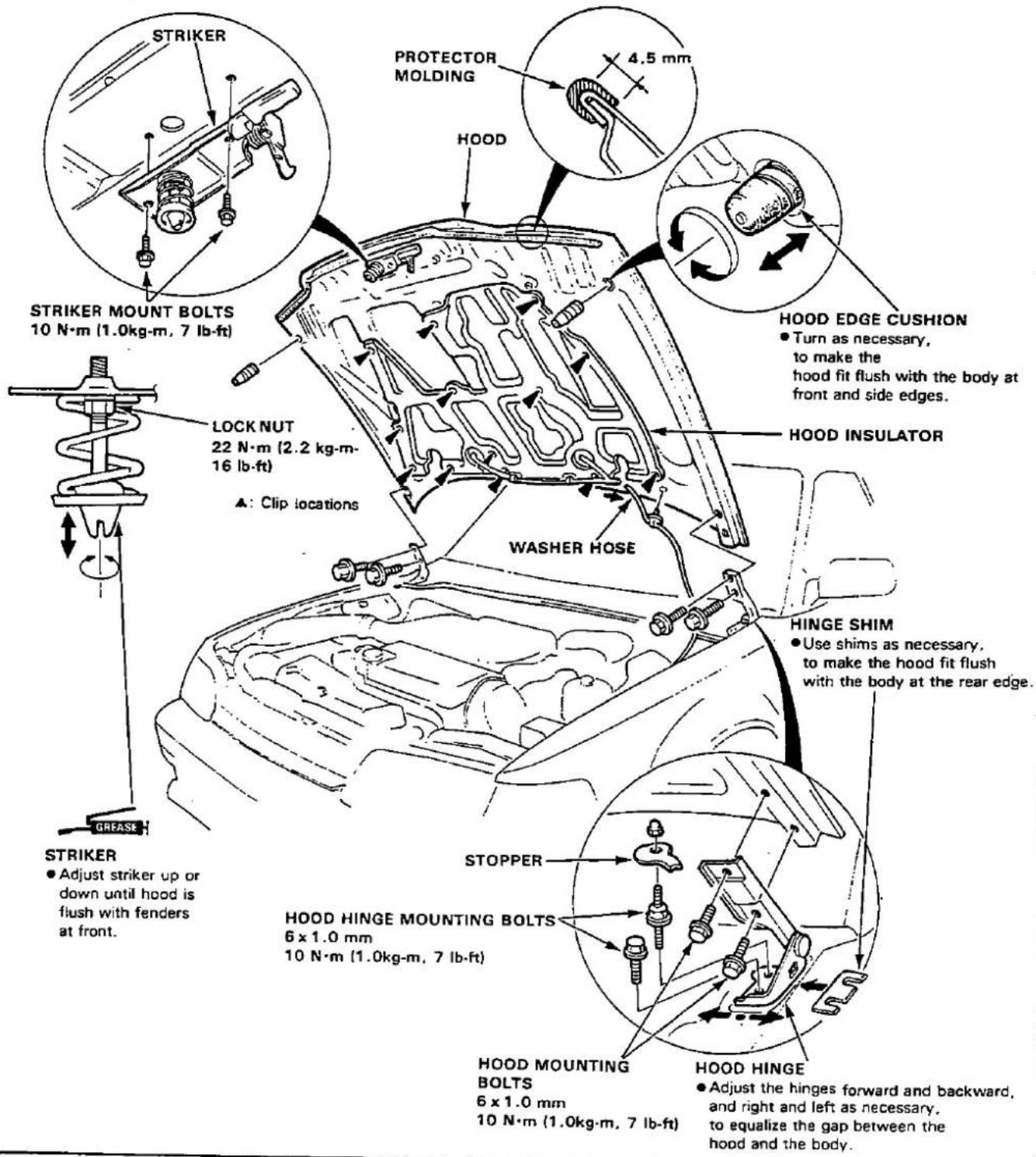 STRIKER PROTECTOR MOLDING 4.5 mm HOOD STRIKER MOUNT BOLTS 10 N·m (1.0kg·m, 7 lb·ft) LOCK NUT 22 N·m (2.2 kg·m- 16 lb·ft) ▲: Clip iocations HUD HOOD EDGE CUSHION ● Turn as necessary, to make the hood fit flush with the body at front and side edges. HOOD INSULATOR WASHER HOSE HINGE SHIM ● Use shims as necessary, to make the hood fit flush with the body at the rear edge. STRIKER ● Adjust striker up or down until hood is flush with fenders at front. STOPPER HOOD HINGE MOUNTING BOLTS 6 x 1.0 mm 10 N·m (1.0kg·m, 7 lb·ft) HOOD MOUNTING BOLTS 6 x 1.0 mm 10 N·m (1.0kg·m, 7 lb·ft) HOOD HINGE ● Adjust the hinges forward and backward, and right and left as necessary. to equalize the gap between the hood and the body.