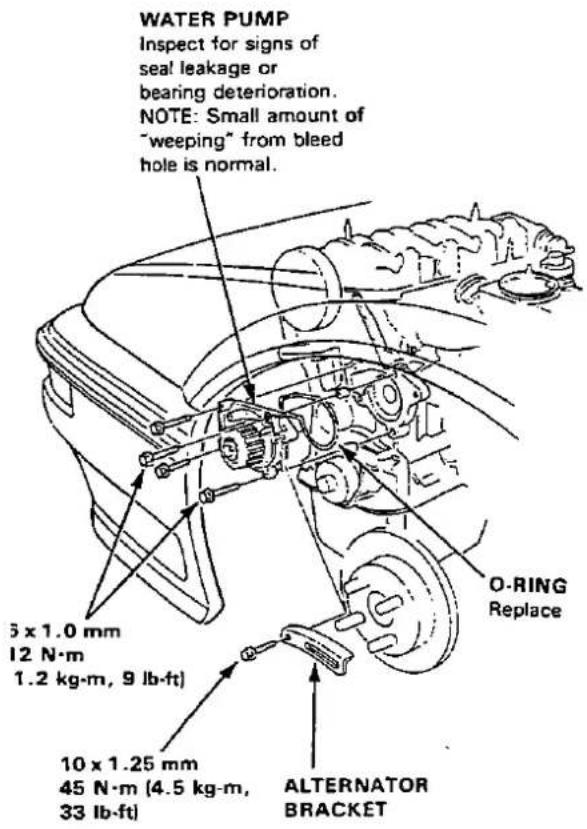 WATER PUMP Inspect for signs of seal leakage or bearing deterioration. NOTE: Small amount of "weeping" from bleed hole is normal. O-RING Replace 5 x 1.0 mm 12 N·m 1.2 kg·m, 9 lb-ft) 10 x 1.25 mm 45 N·m (4.5 kg·m, 33 lb-ft) ALTERNATOR BRACKET