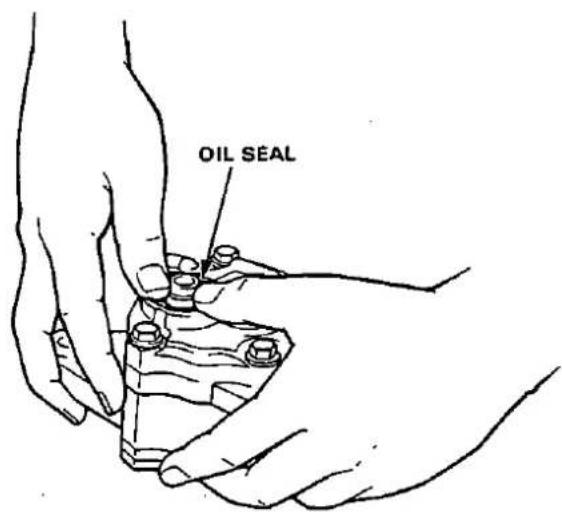 OIL SEAL