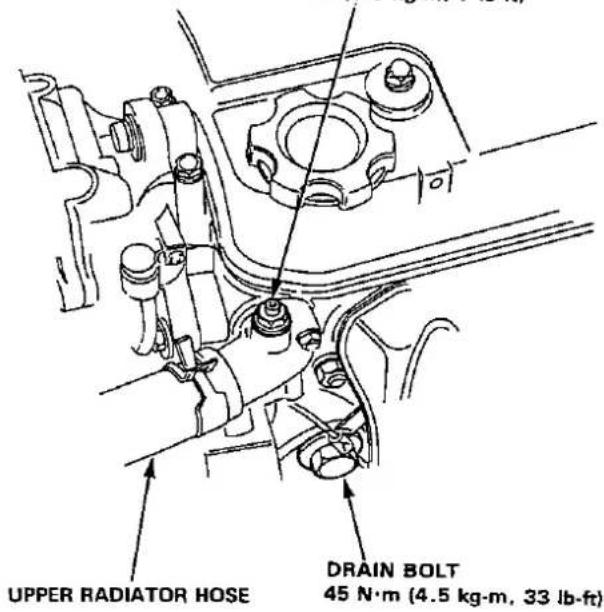 UPPER RADIATOR HOSE DRAIN BOLT 45 N·m (4.5 kg·m, 33 lb·ft)