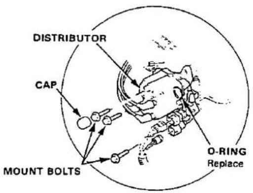DISTRIBUTOR CAP MOUNT BOLTS O-RING Replace