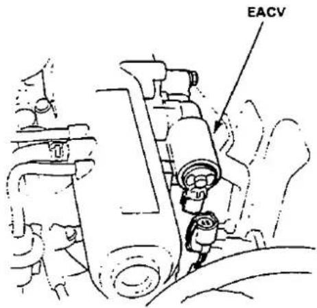 EACV