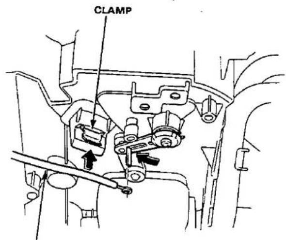 CLAMP