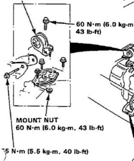 60 N·m (6.0 kg·m 43 lb-ft) MOUNT NUT 60 N·m (6.0 kg·m, 43 lb-ft) 5 N·m (5.5 kg·m, 40 lb-ft)