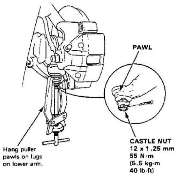Hang puller pawls on lugs on lower arm. PAWL CASTLE NUT 12 x 1.25 mm 55 N·m (5.5 kg·m 40 lb-ft)