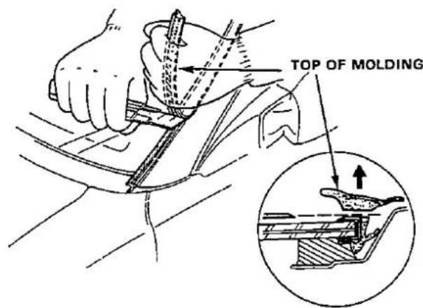 TOP OF MOLDING