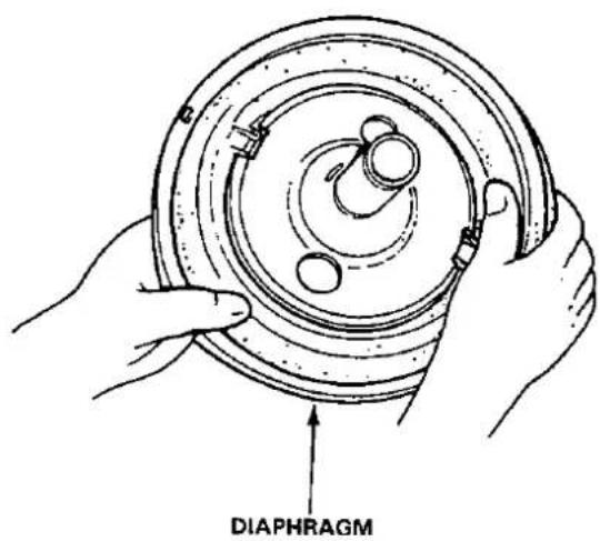 DIAPHRAGM
