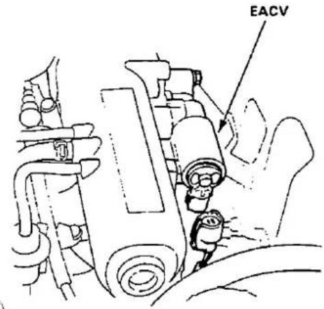EACV