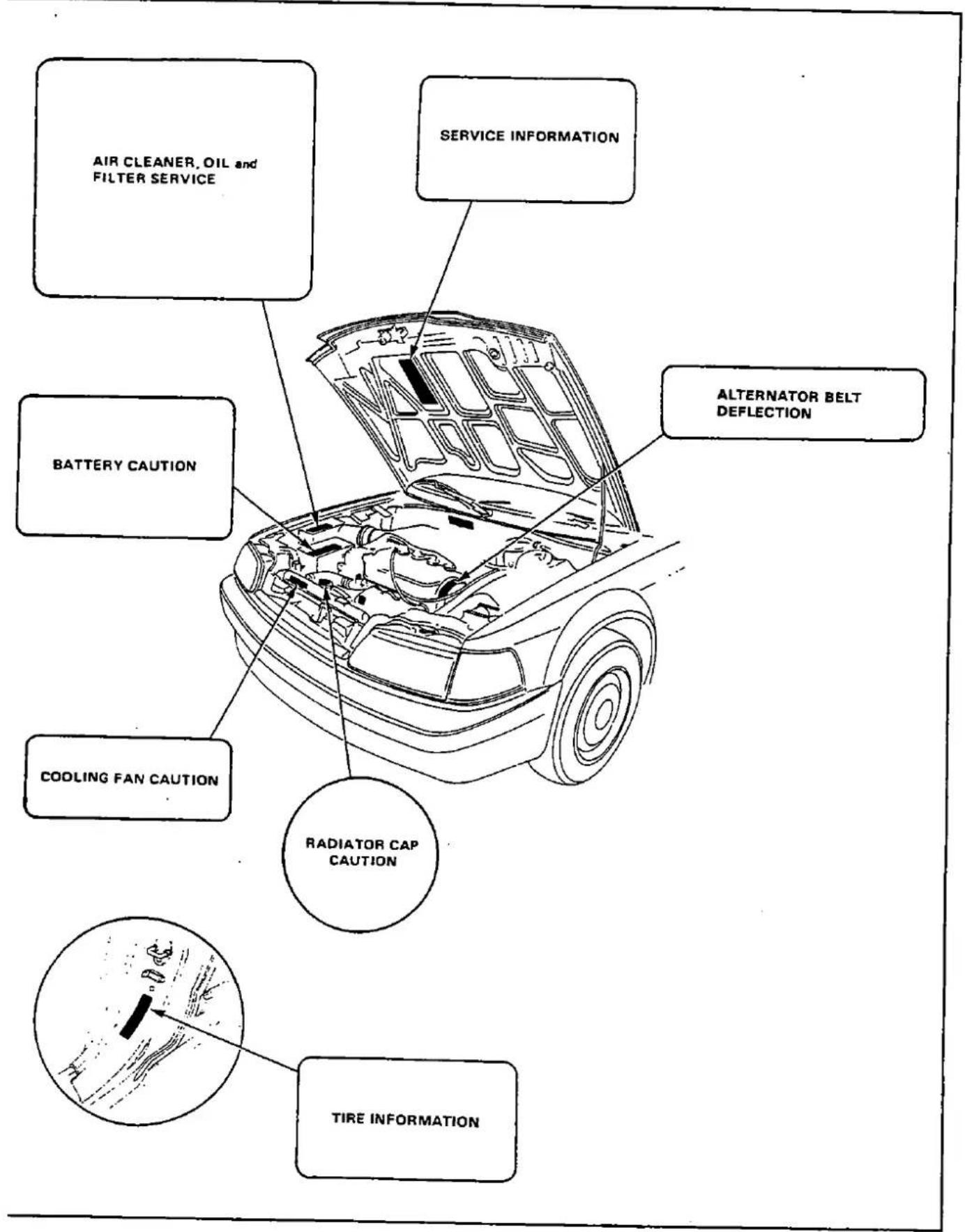 AIR CLEANER, OIL and FILTER SERVICE SERVICE INFORMATION BATTERY CAUTION ALTERNATOR BELT DEFLECTION COOLING FAN CAUTION RADIATOR CAP CAUTION TIRE INFORMATION