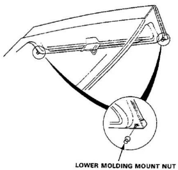 LOWER MOLDING MOUNT NUT