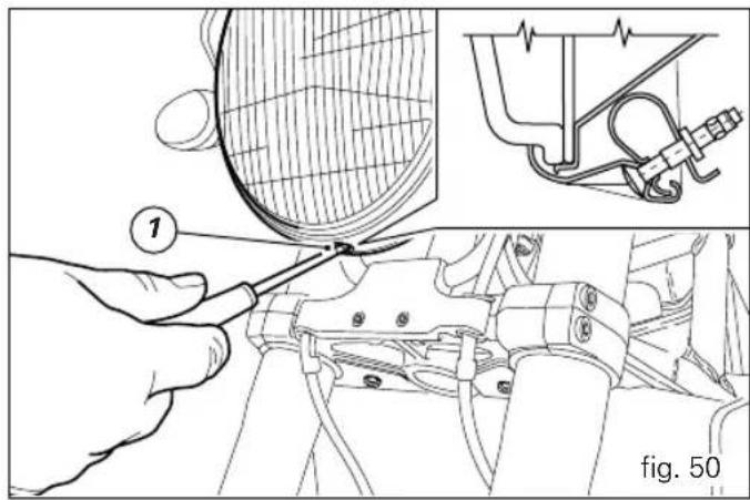1 fig. 50