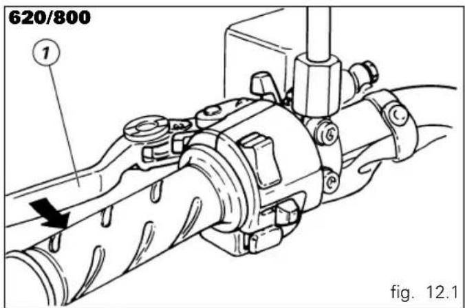 620/800 1 fig. 12.1