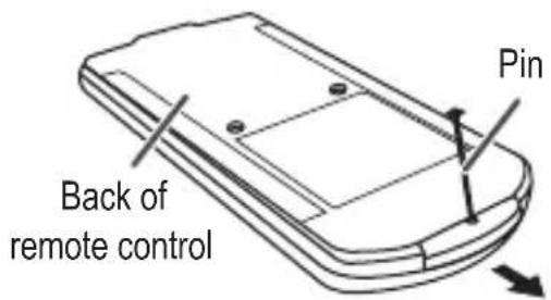 Back of remote control Pin