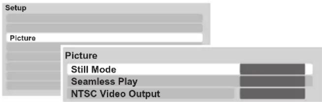 Setup Picture Picture Still Mode Seamless Play NTSC Video Output